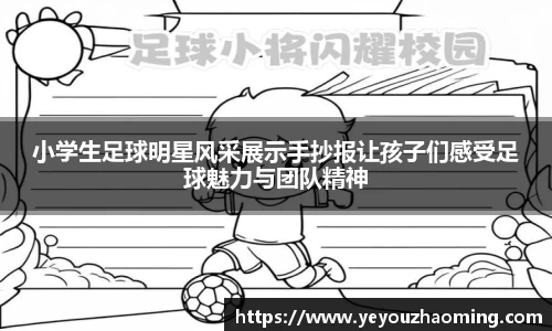 k1体育